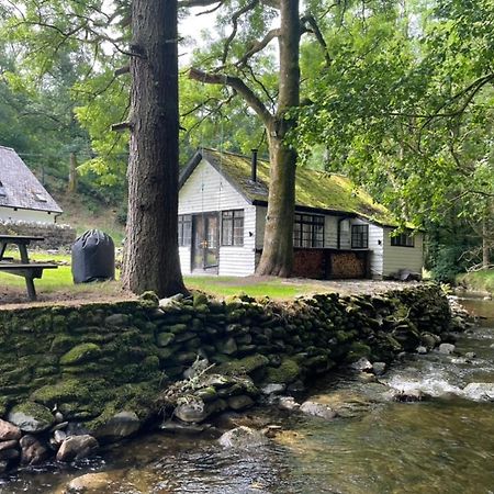 Cuckoo Cabin, Tyn Y Cwm Eglwys-Fach Exterior foto